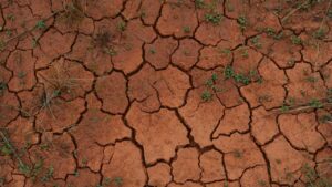 étude de sol obligatoire sur sols argileux en France